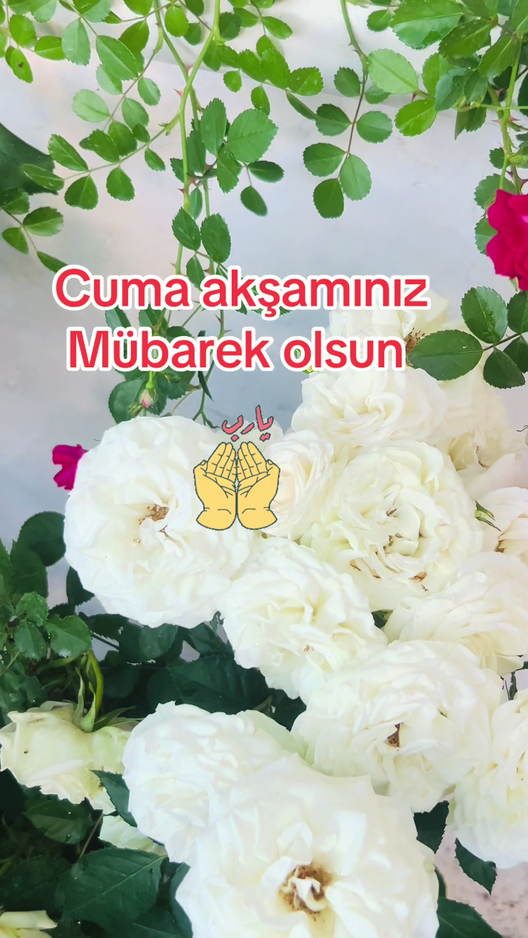 @❤️kahvekeyfiim ☕️