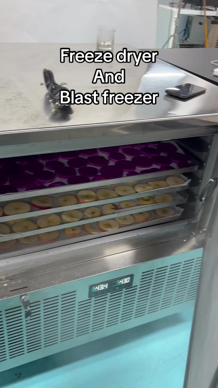 @Dalle freeze dryer