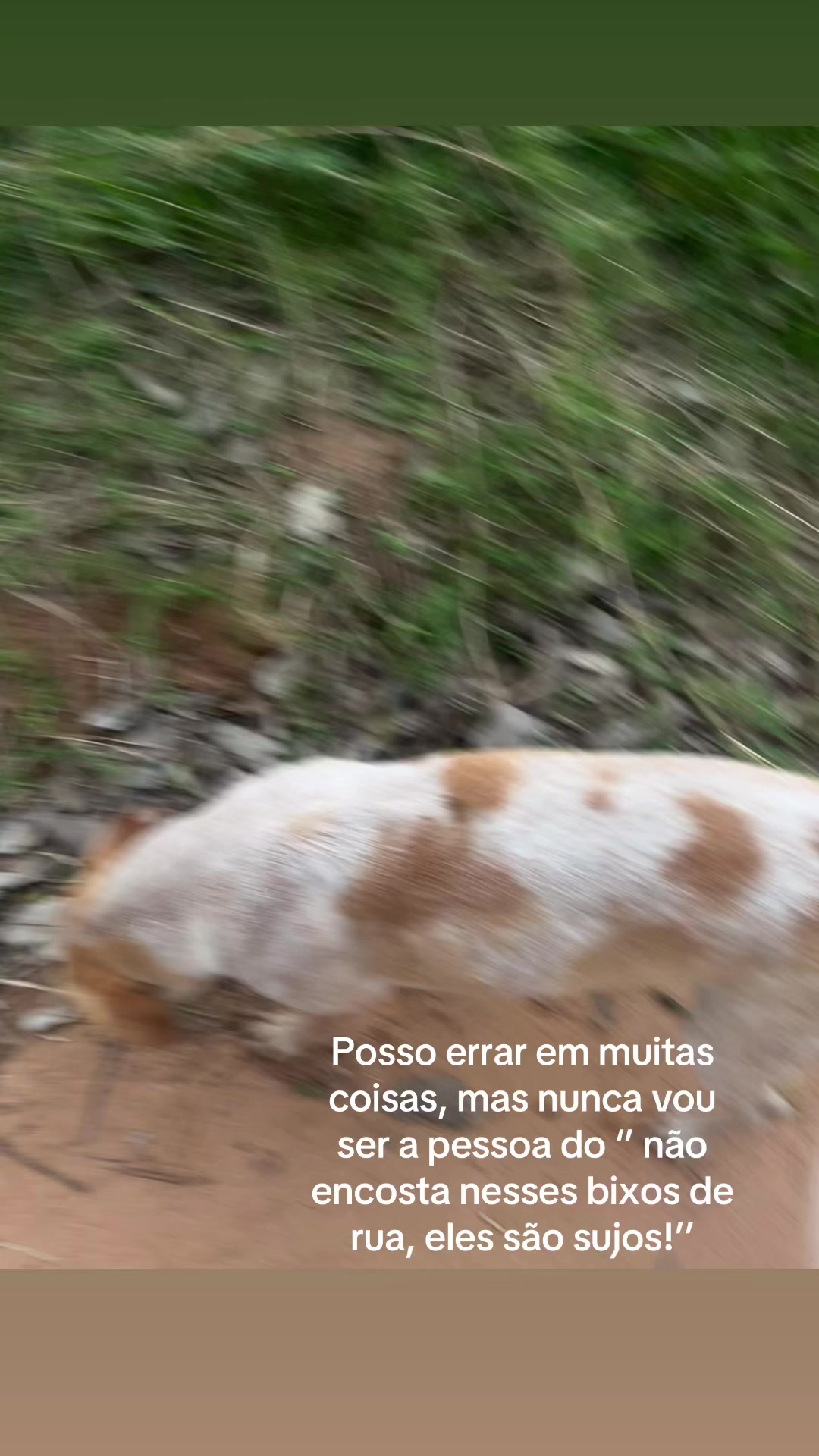 @xx_vitoria53