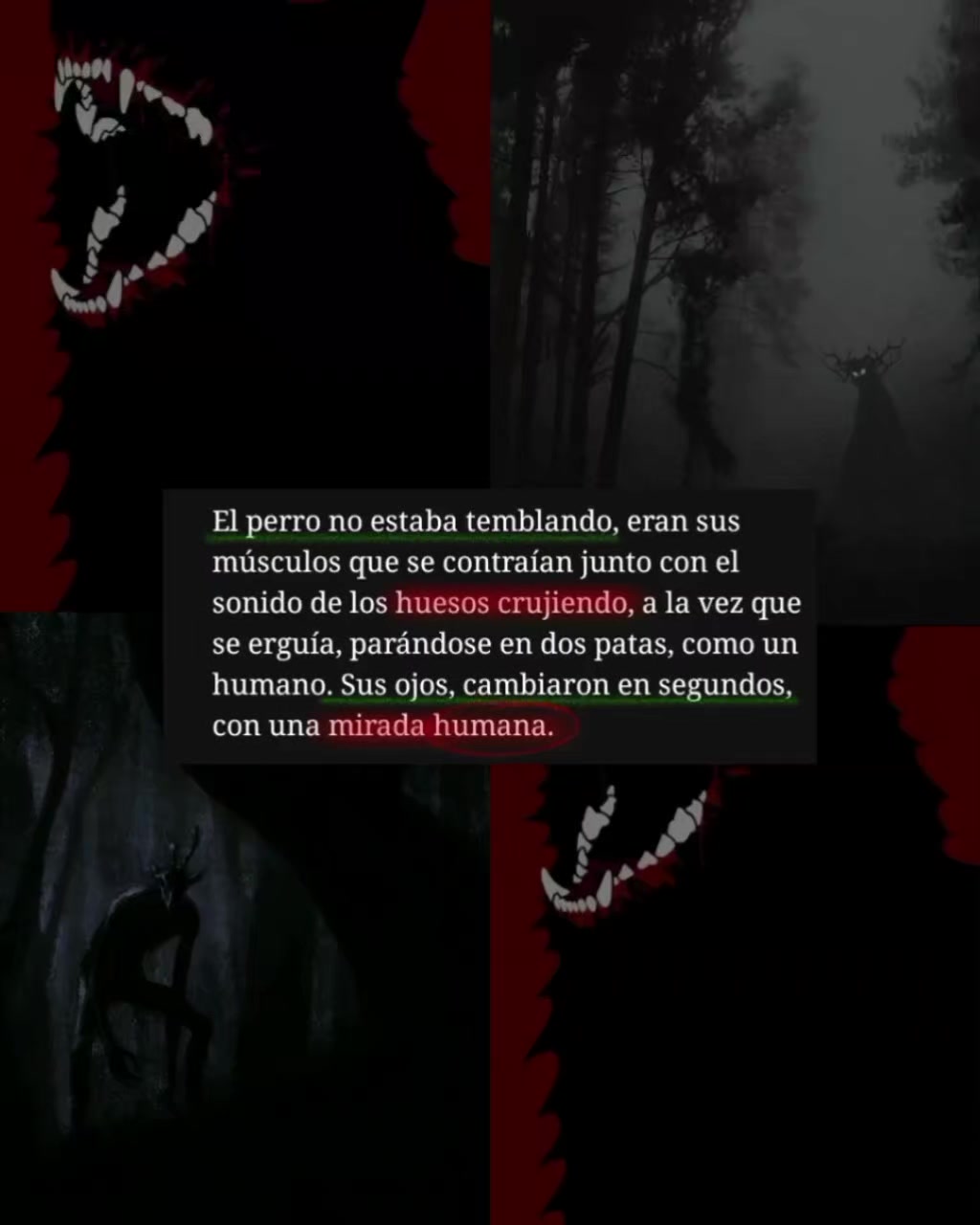 @Marisela_N.