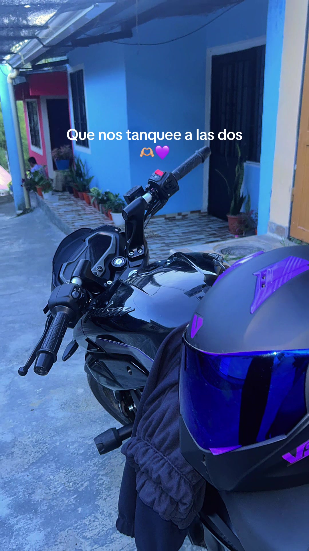 @Ale 🐙