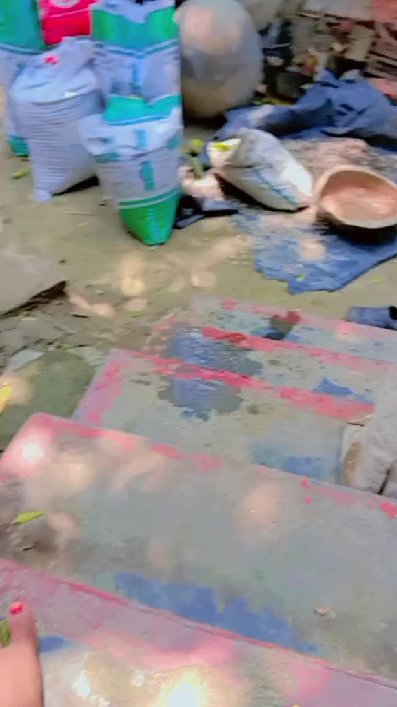 @গ্রামের বাংলার দৃশ্য