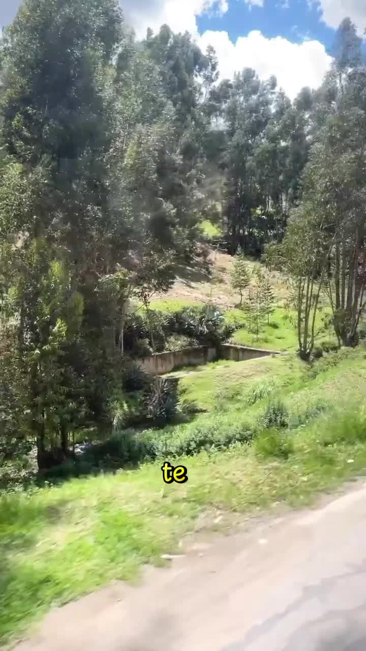 @Ral