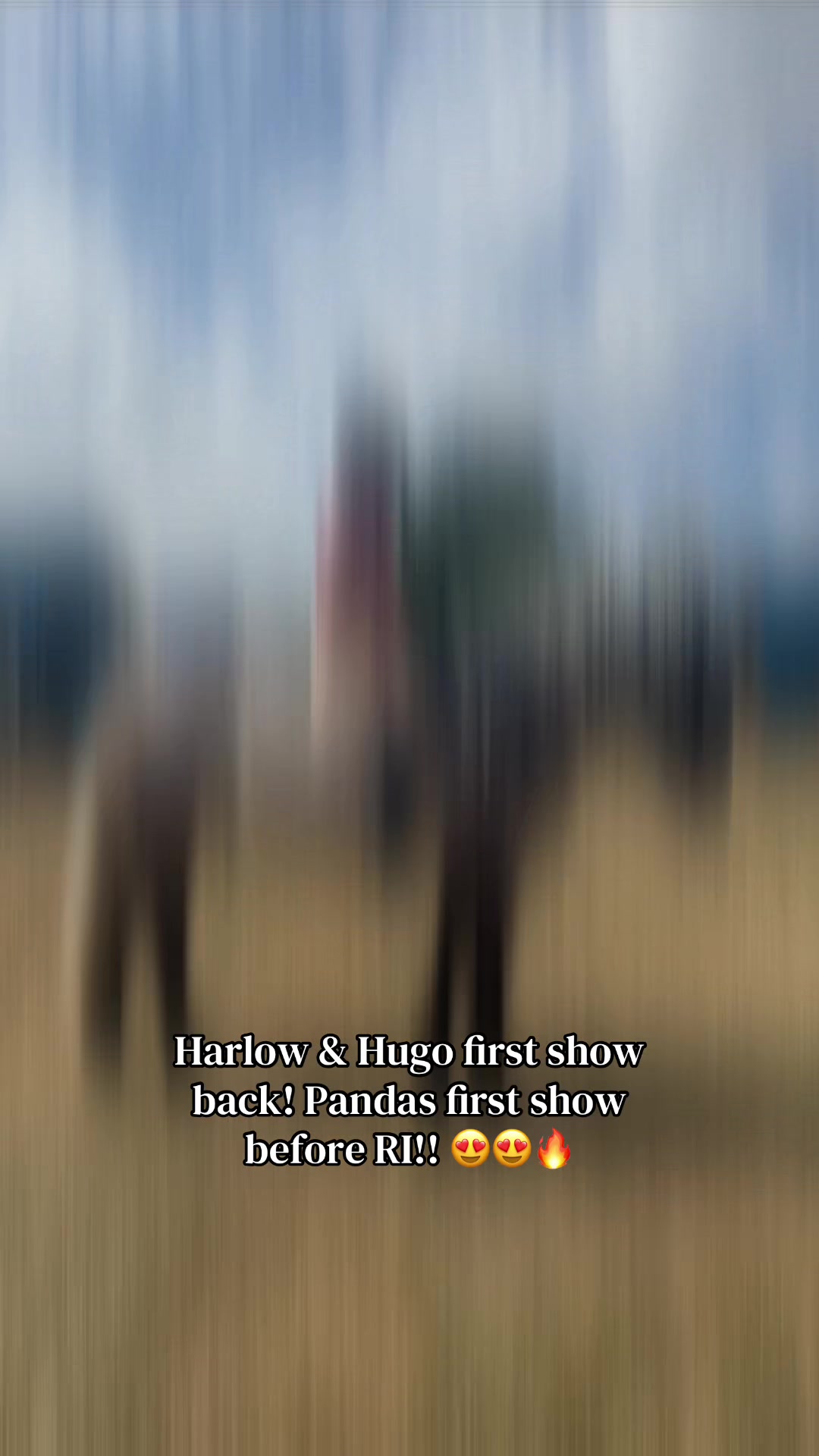 @Harlow Updates