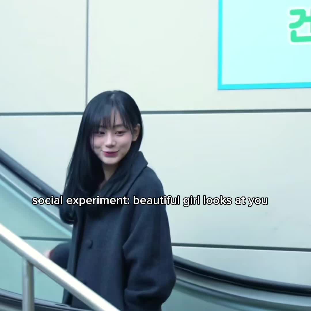 @noyelll