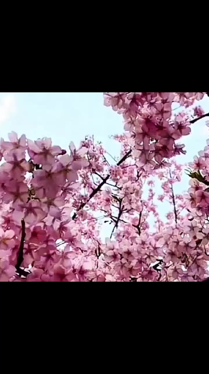@꧁⪓𐌑ᎥʍᎥ⪔꧂