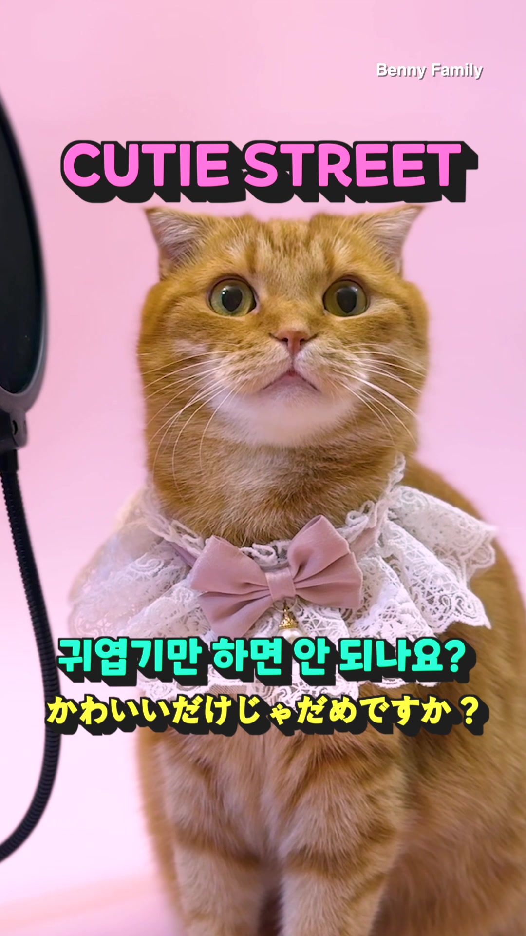 @베니패밀리 Benny Family