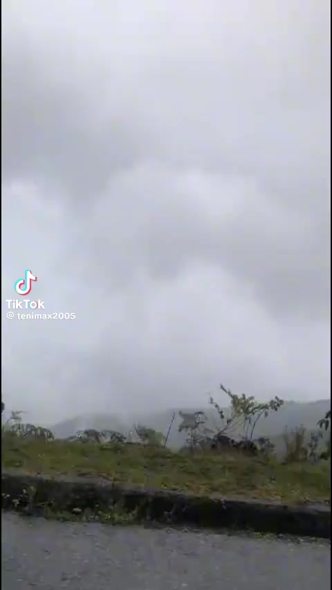 @P.A.Z