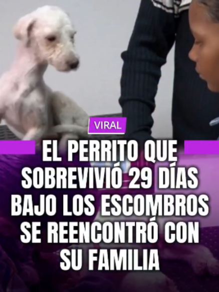 @MINUTO30