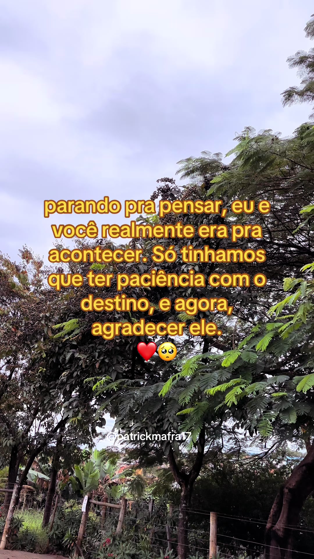 @Patrick mafra