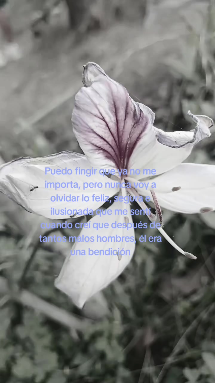 @𝙼𝚊𝚛𝚢𝚜💜.
