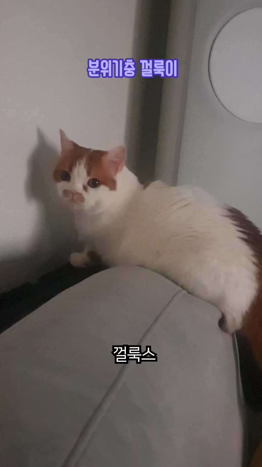 @이폭간