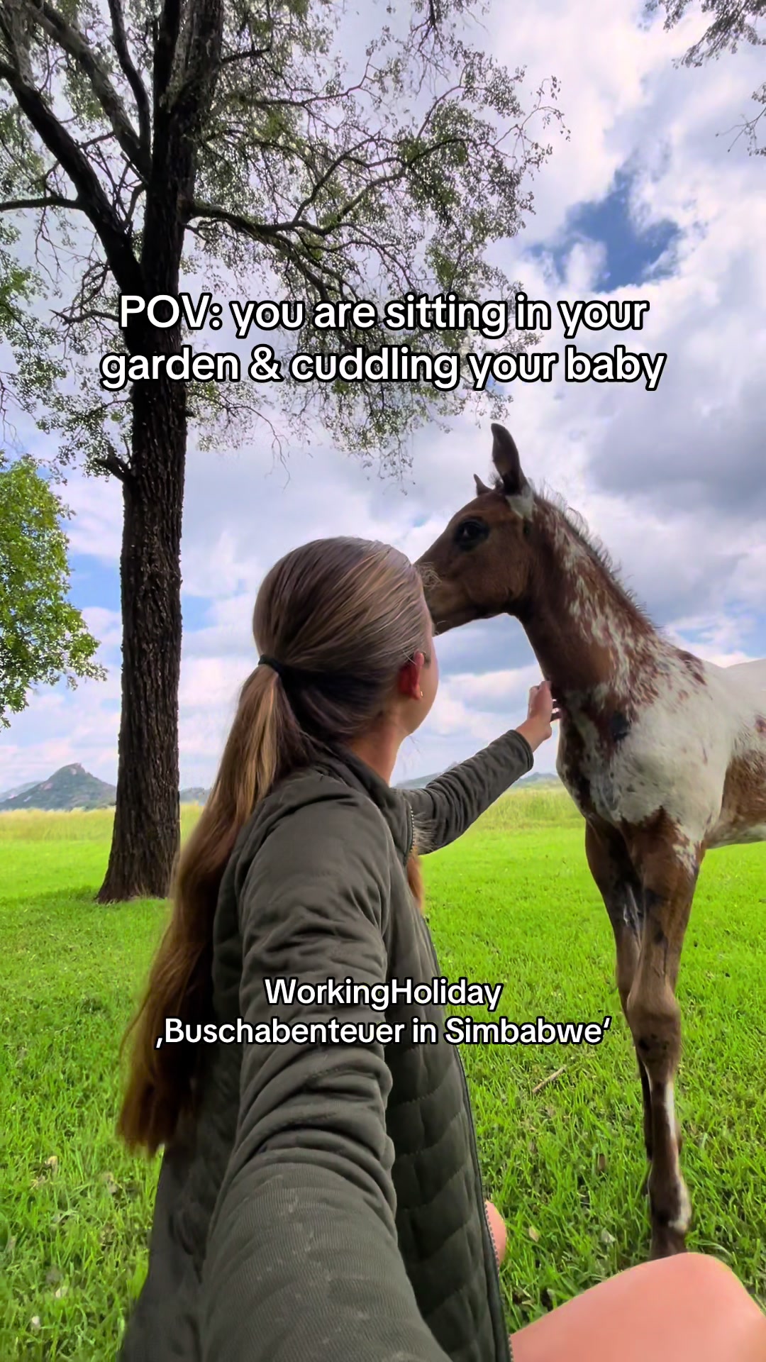 @Hoof & Travel 🐴🌍🐘