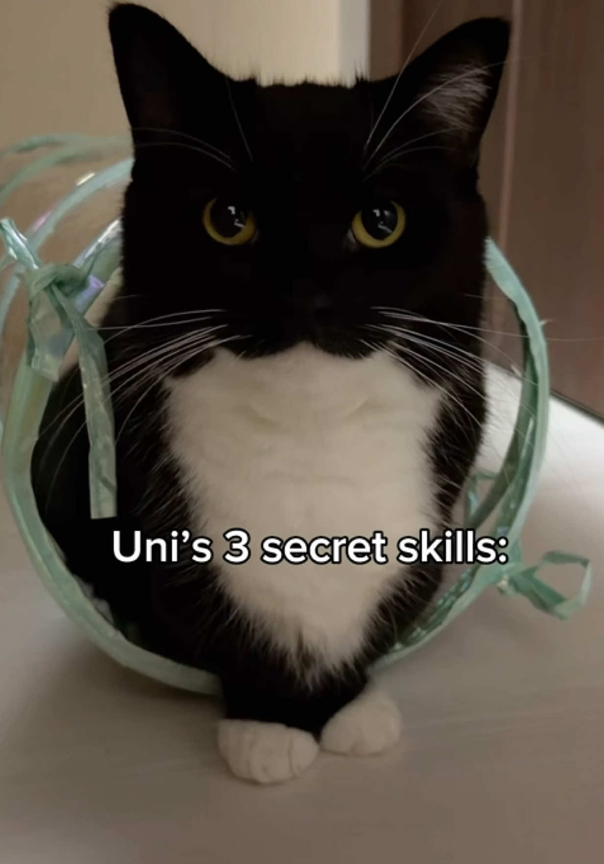 @I’m Uni.
