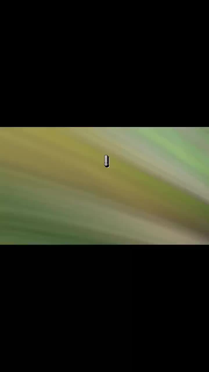 @кьюсик