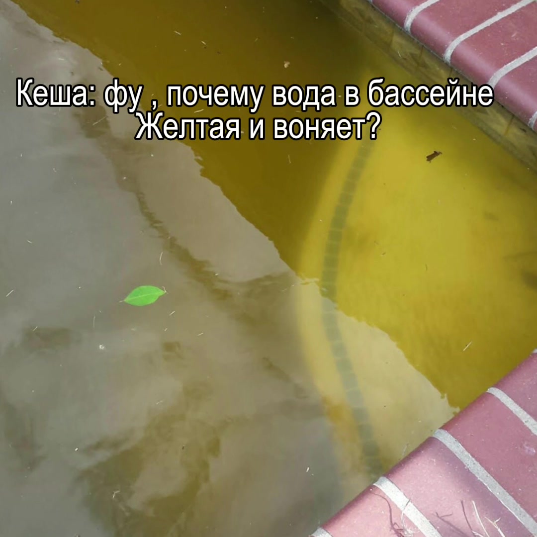 @ТГК:ПОДВАЛ ДУНАРИНЫ