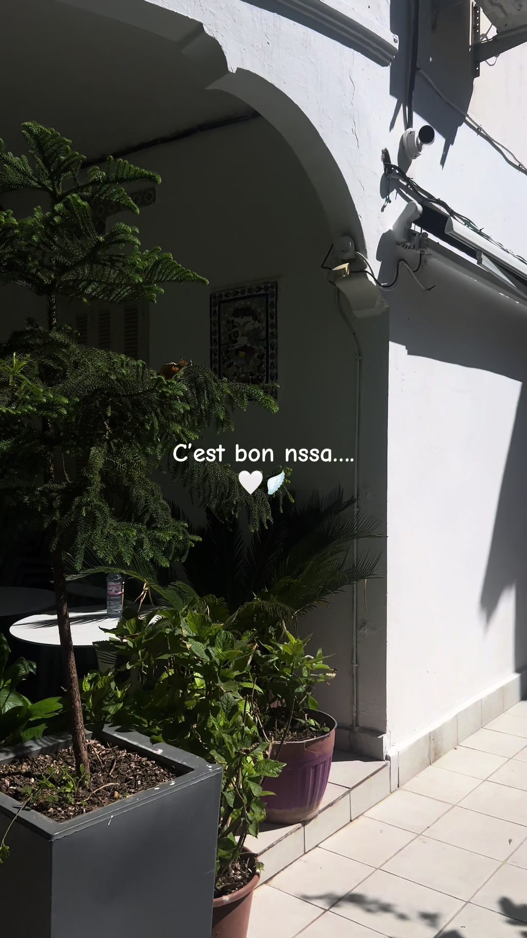 @𓍯𓂃𓏧♡ 𝙈𝙖𝙞𝙩𝙞𝙭 ♡𓏧𓂃𓍯