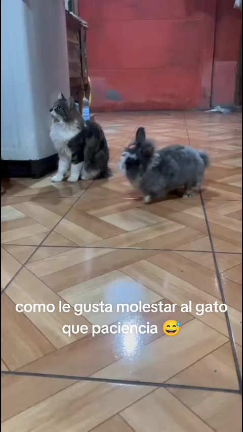 @leidymiranda_2084
