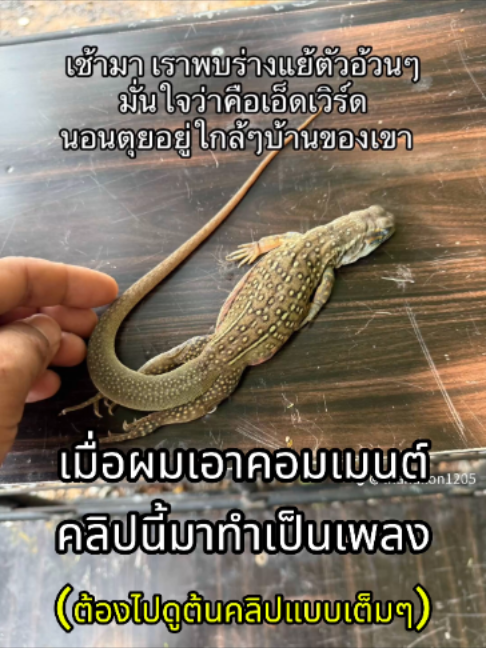 @ผักกาดดด