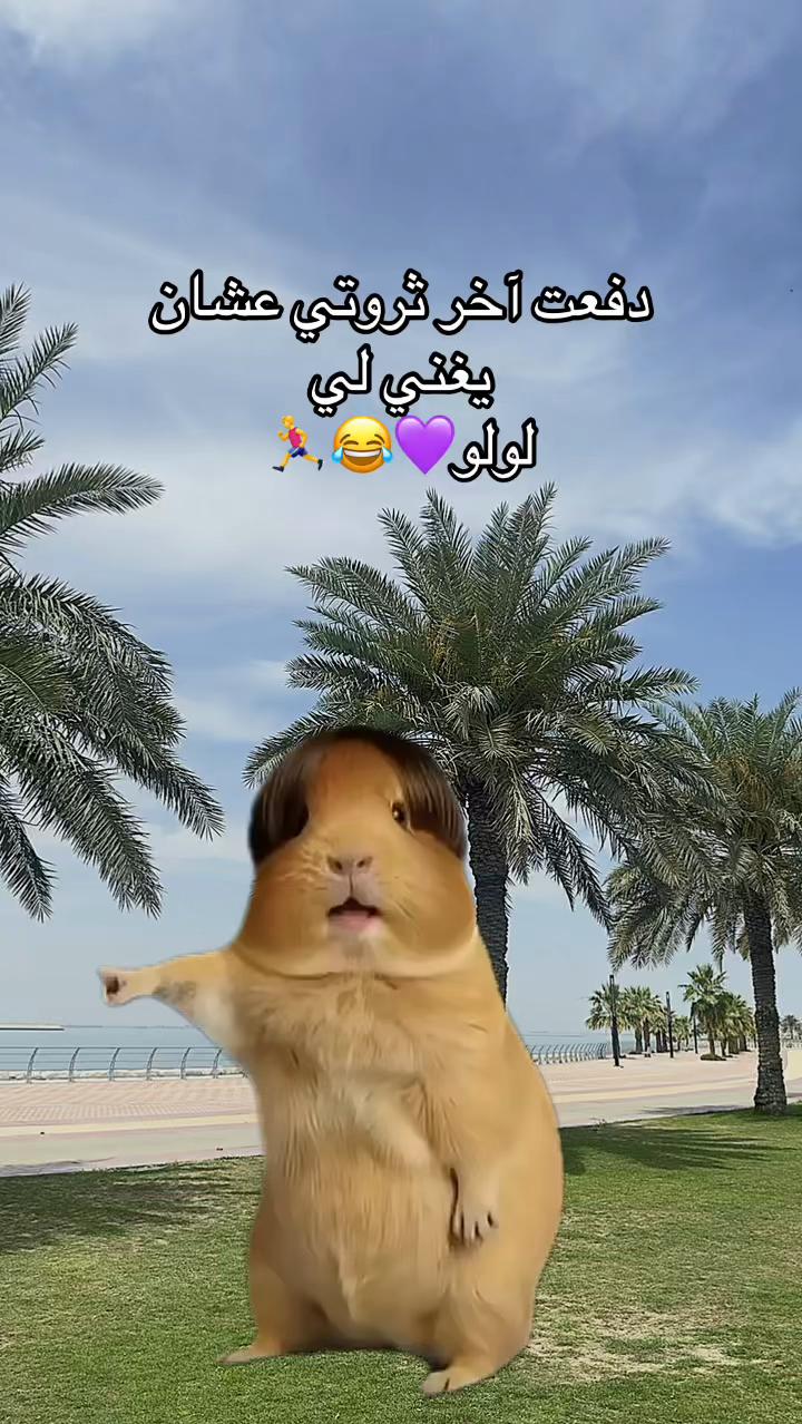 @لولو /الأحساء🎖️💜