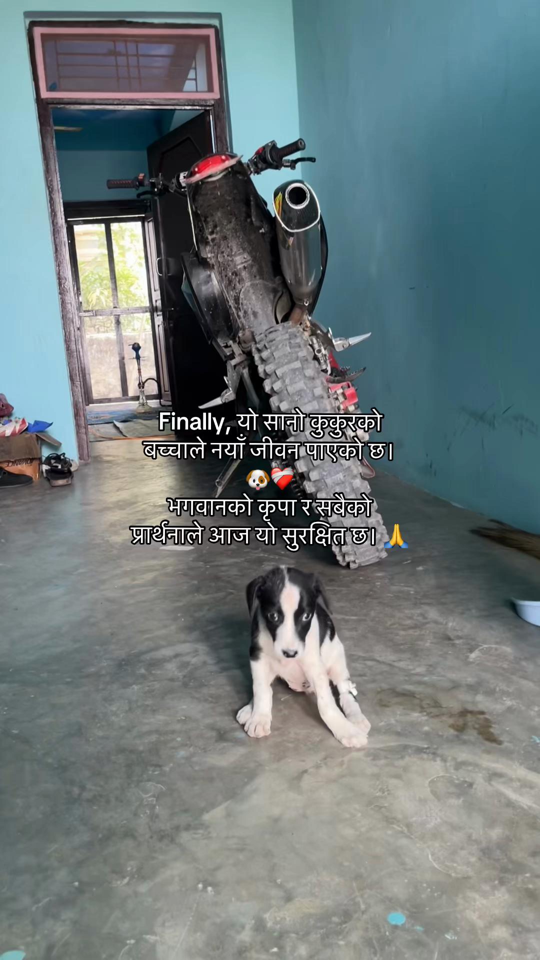 @RABIN VLOG707🇳🇵