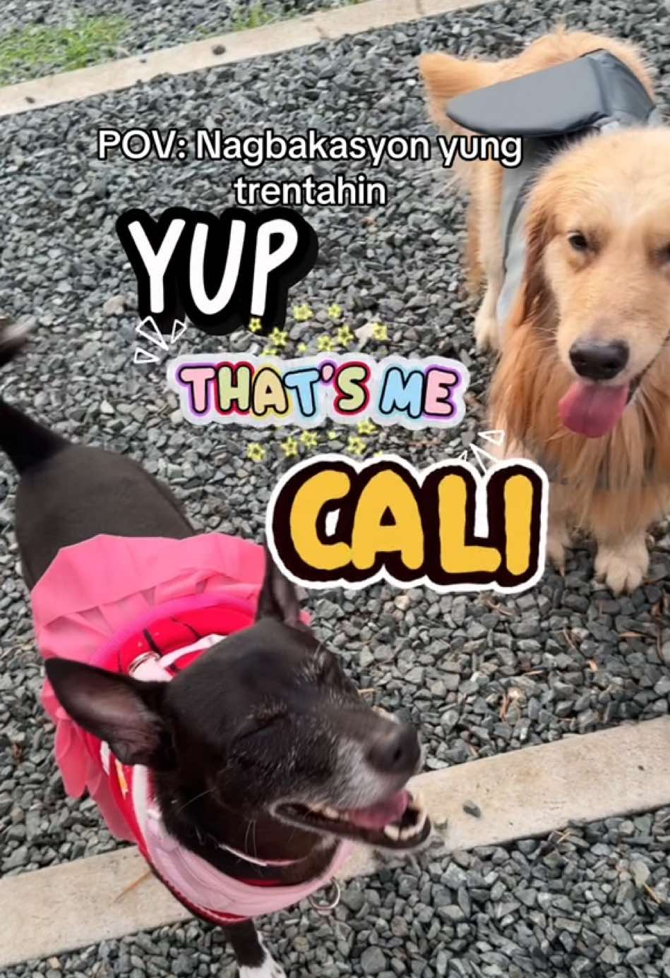 @cammydudels