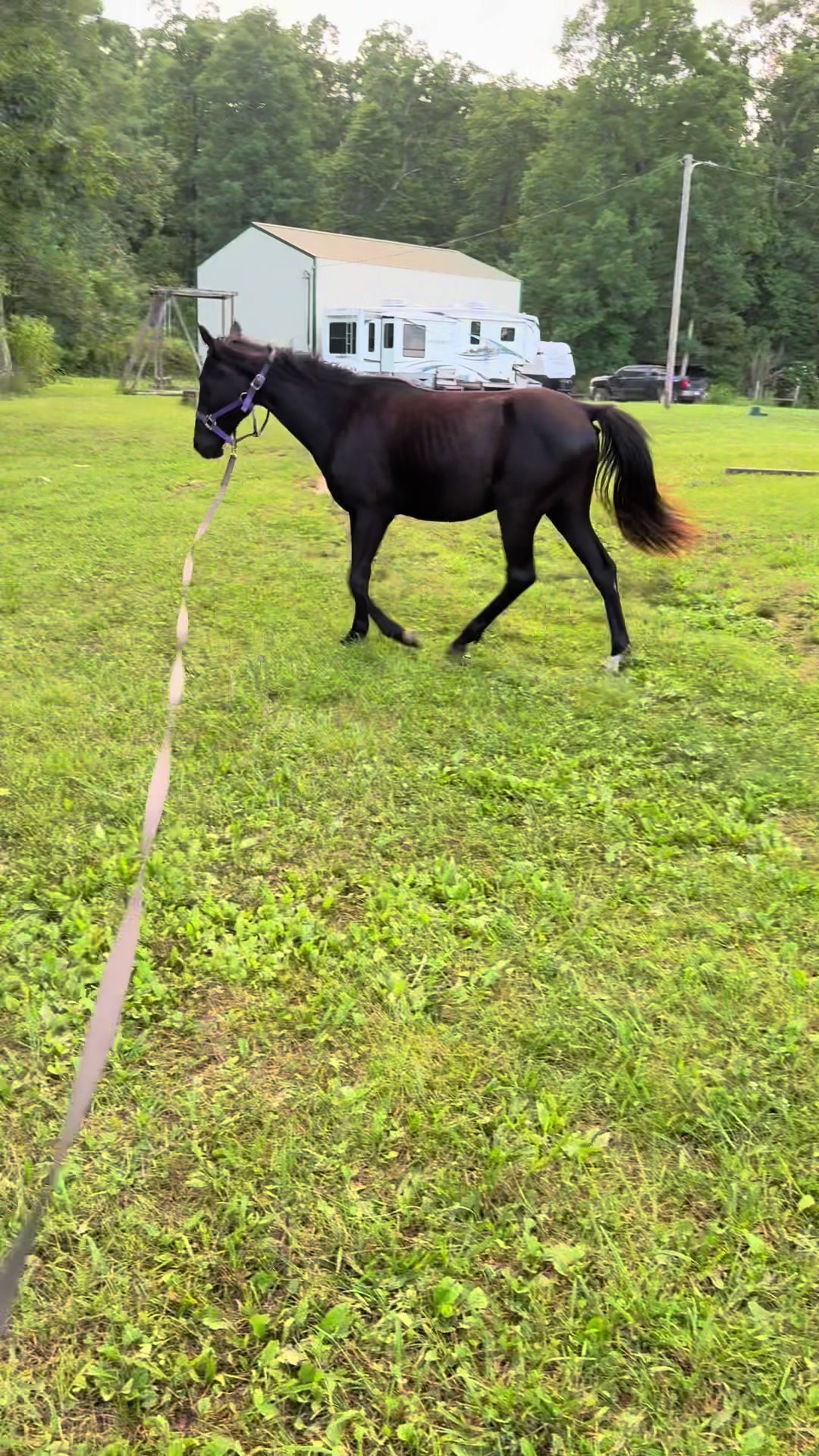 @EightyDollarStables