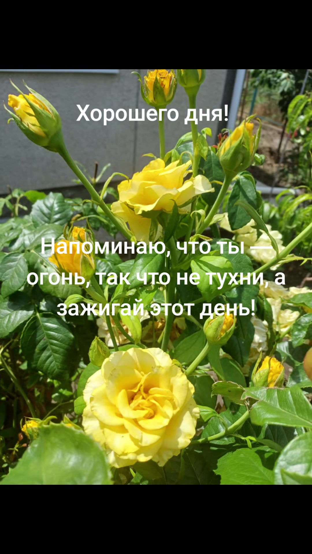 @Маришуля