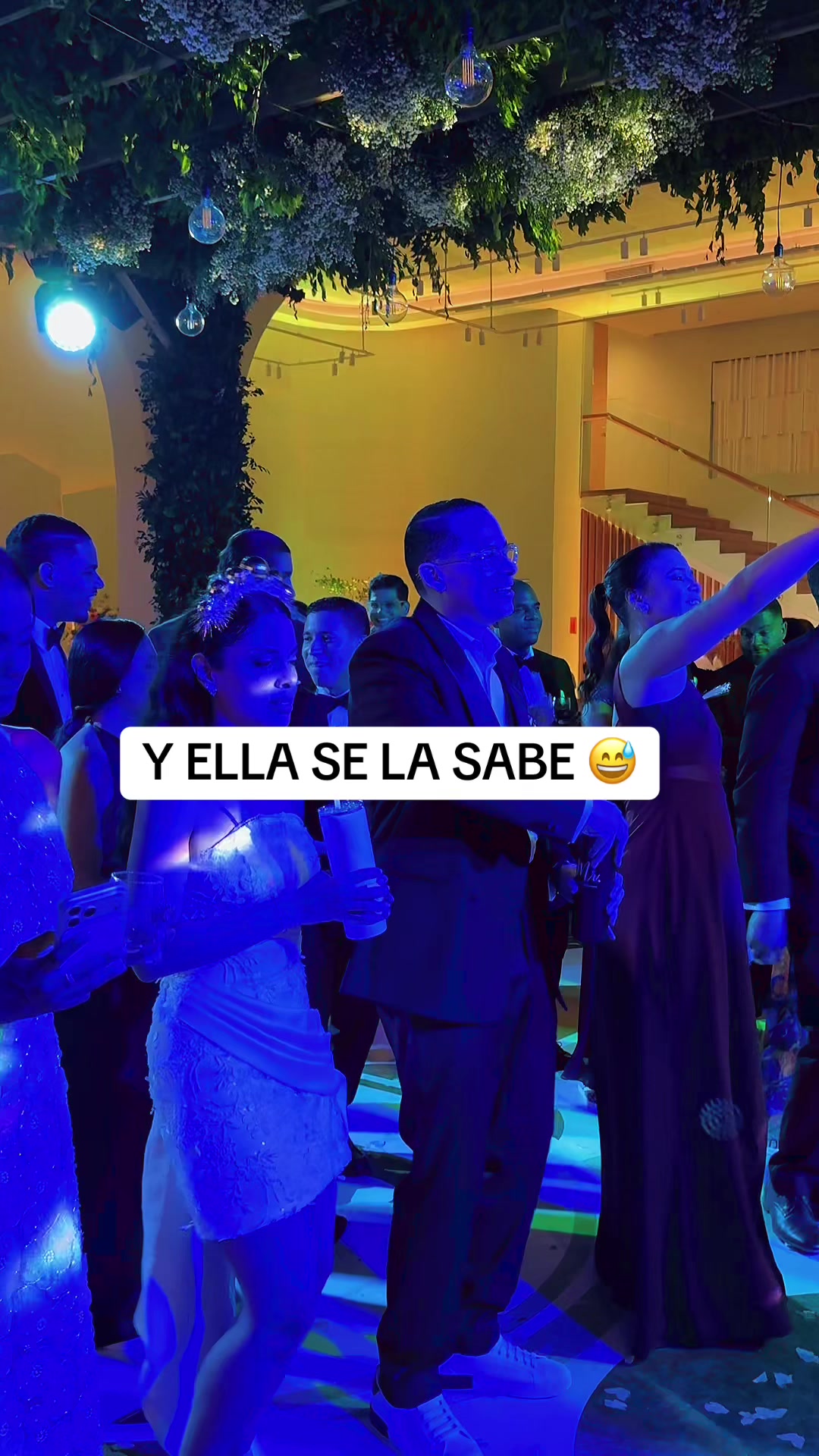 @Mark B 🇩🇴