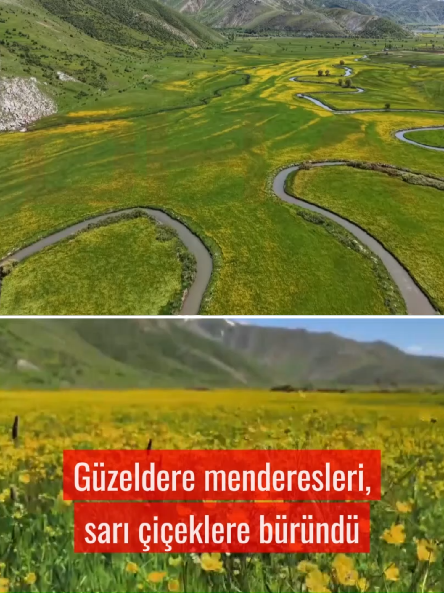 @Demir&ouml;ren Haber Ajansı