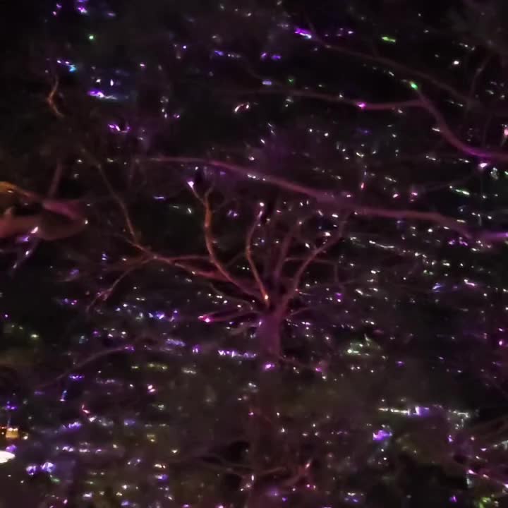 @정절