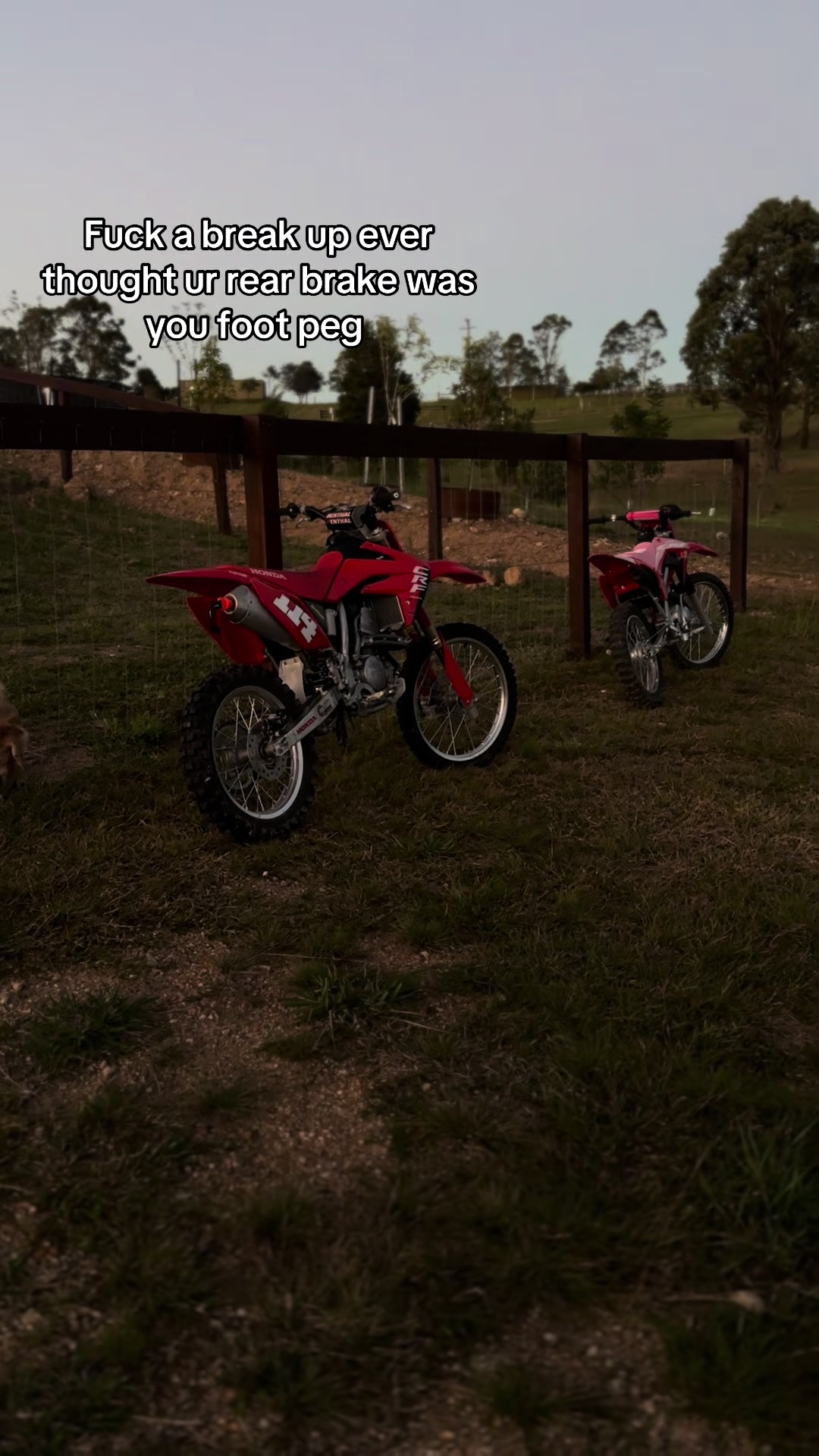 @1️⃣1️⃣4️⃣filmz