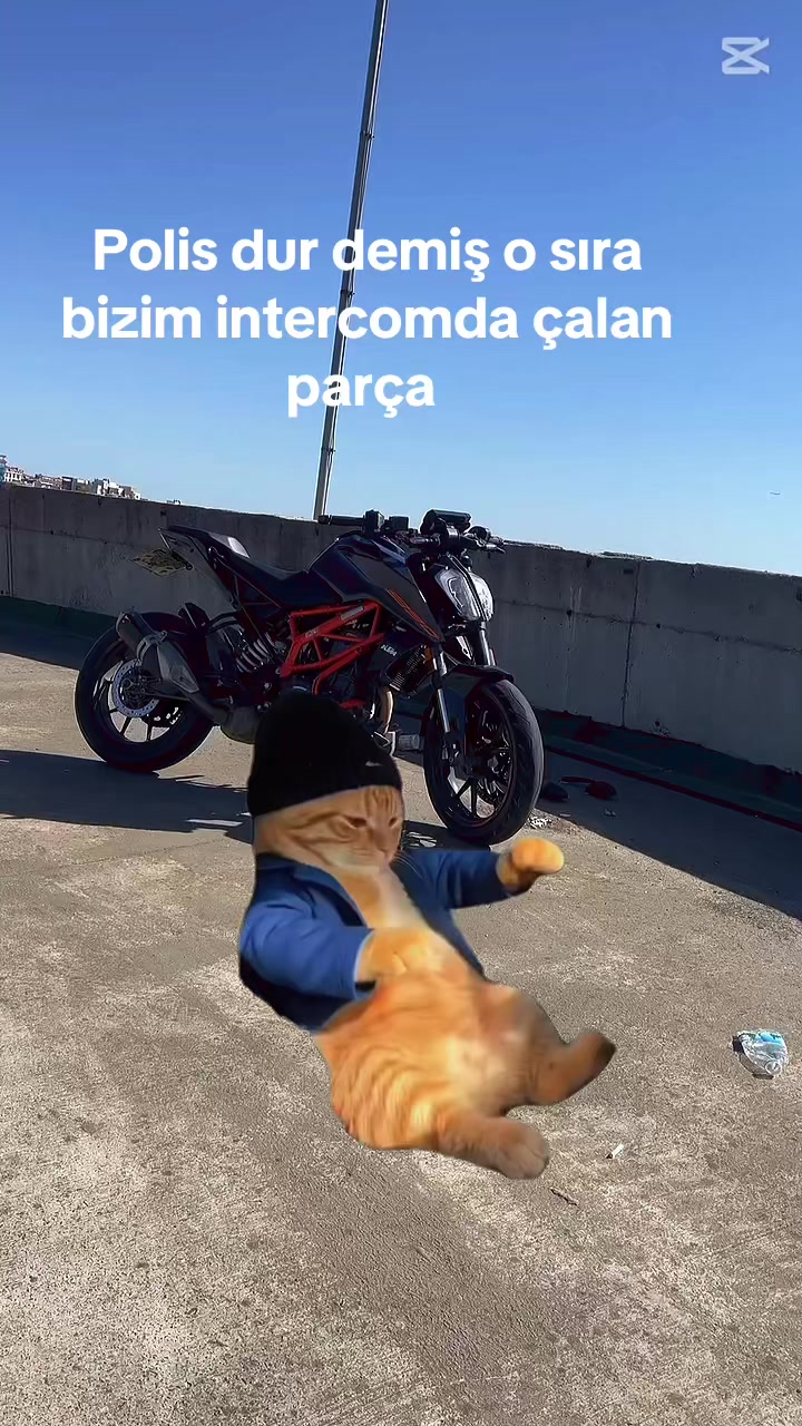 @selimarslan.34