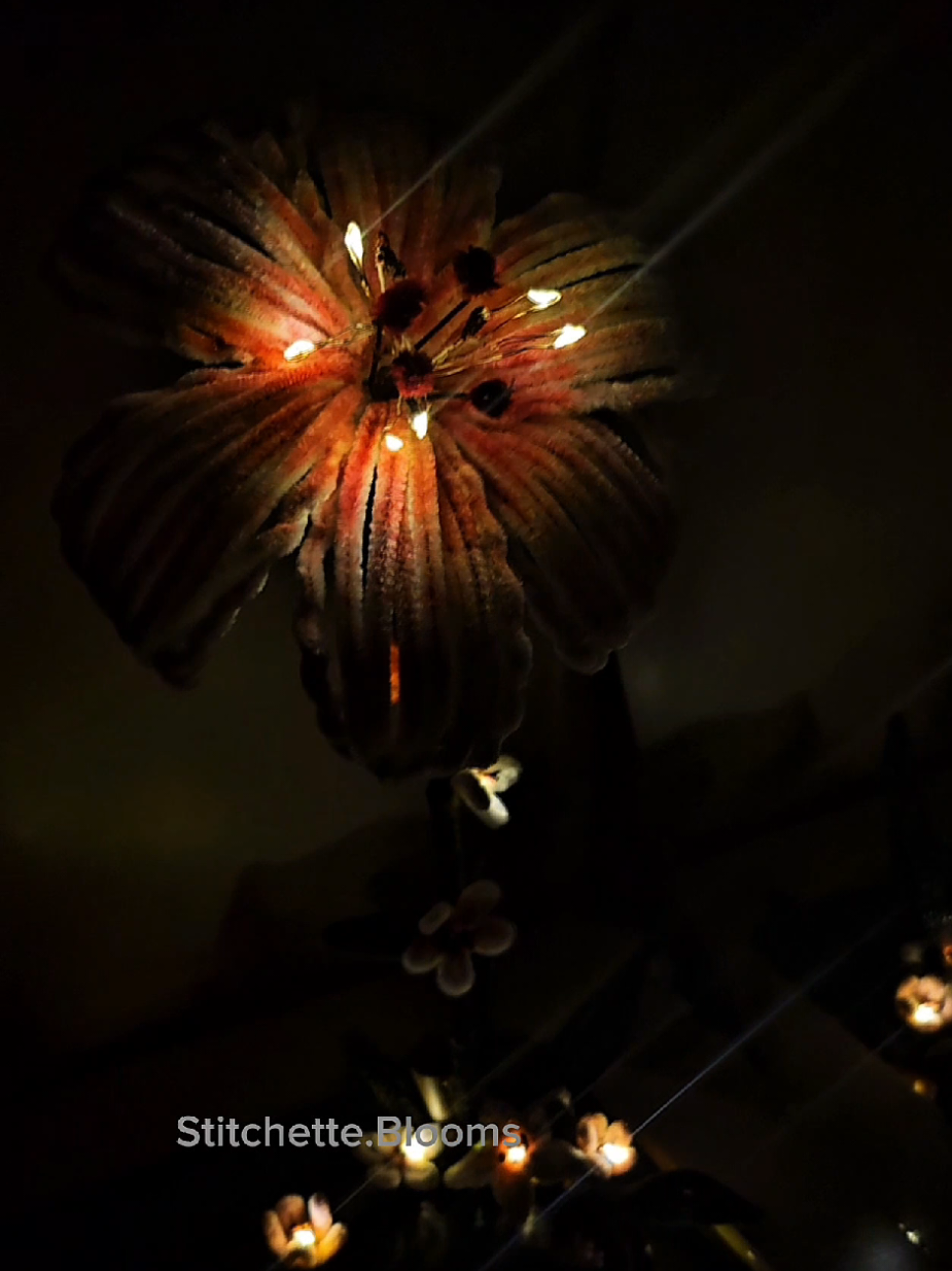 @Stitchette Blooms ๐๐ธ