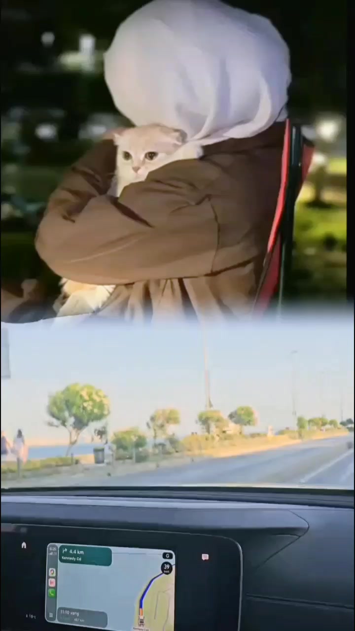 @🫀👑ٱدلبـ᭓ـية آڪـ᭓ـابࢪ 👑🫀