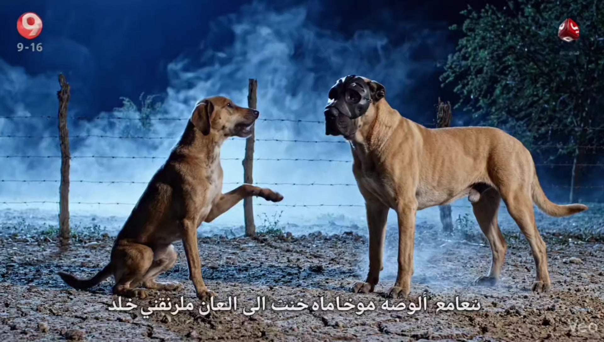 @نصنيص