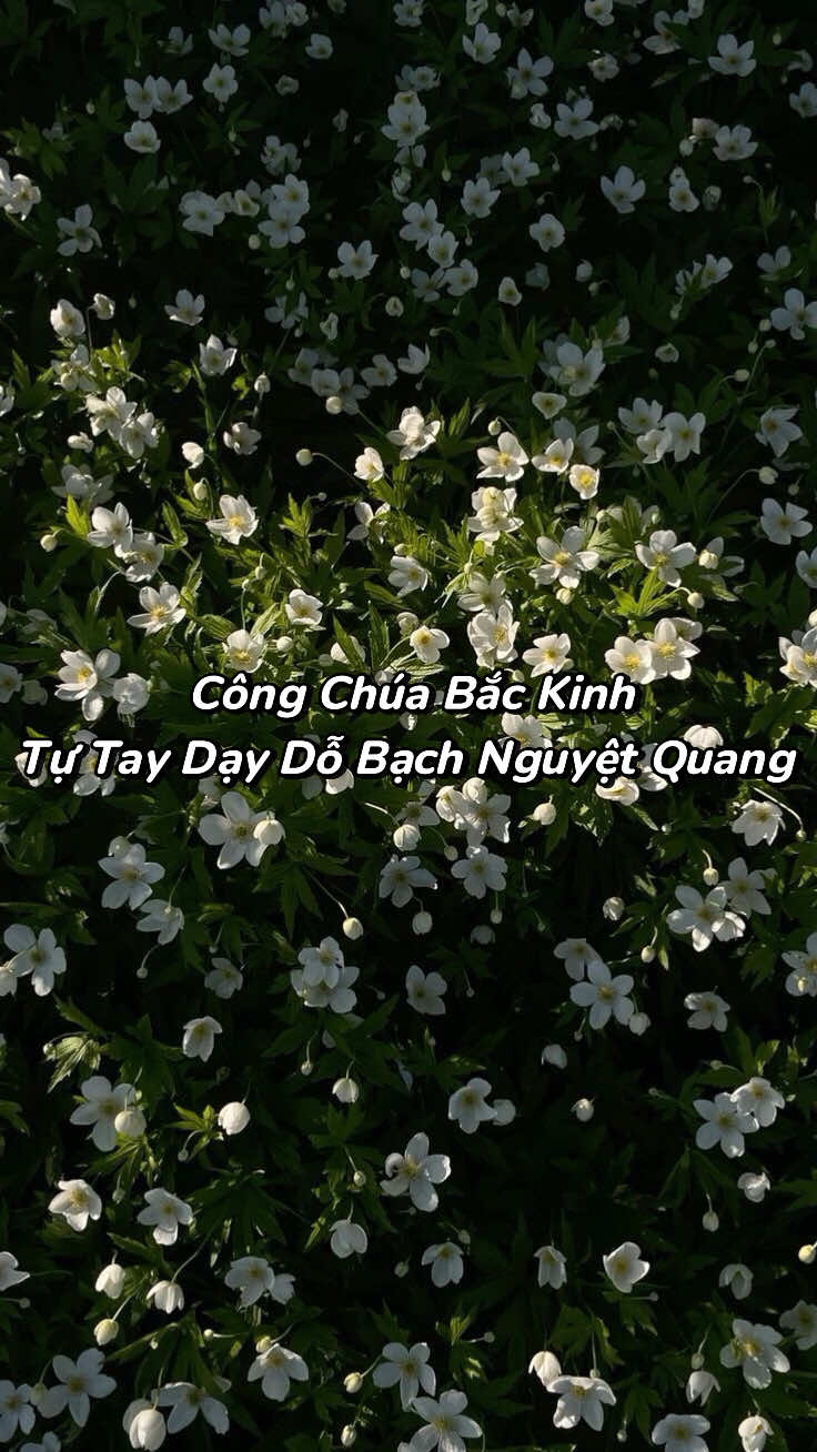 @Bạch Lang Audio🌷