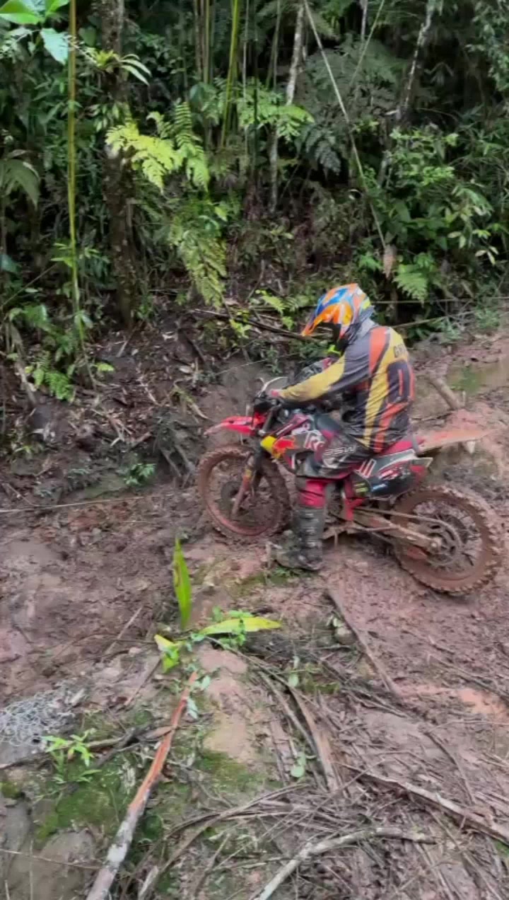 @Daniel De Oliveira D