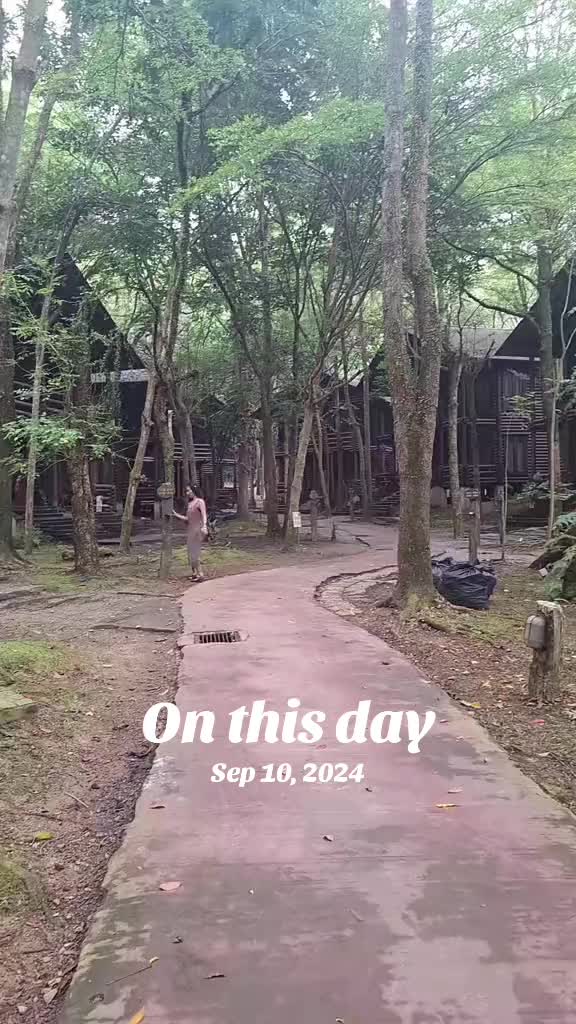 @Rapunzelbtk🥰