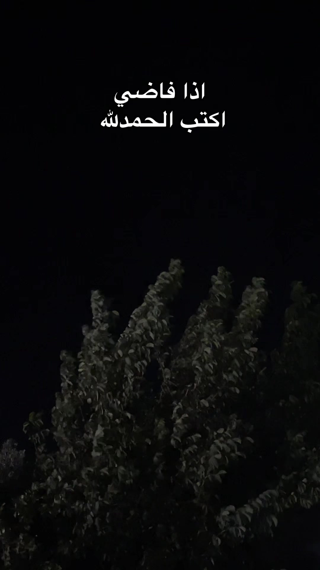 @هيـــّــآف 𓃚