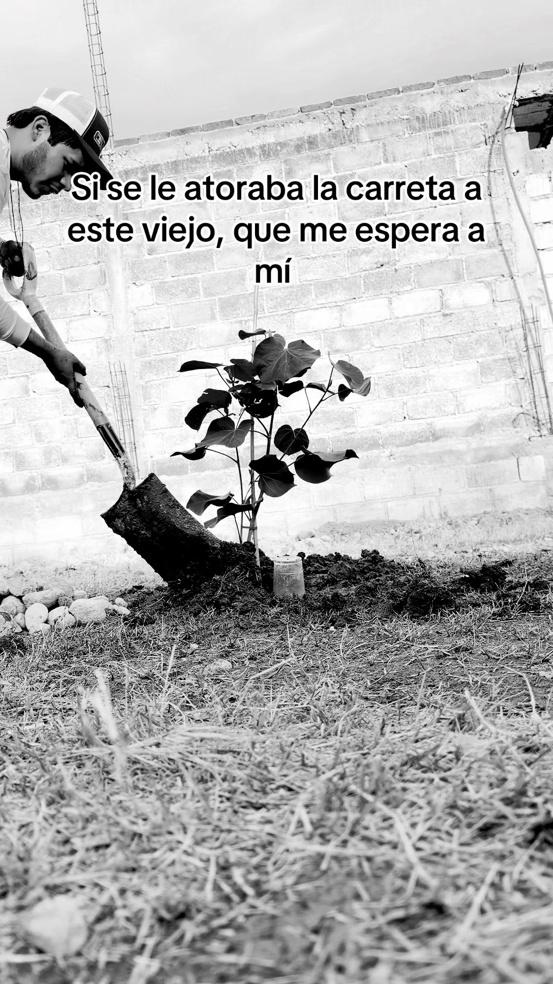 @gallo0202