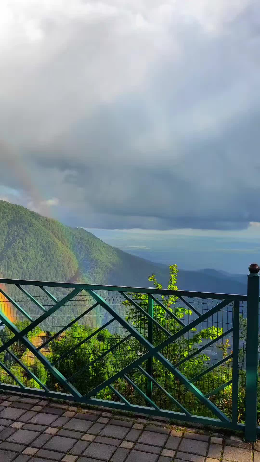 @𝑺.🇦🇿