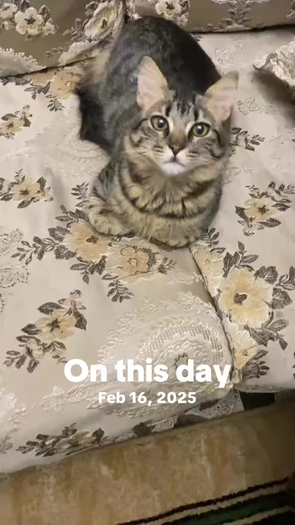 @saraaeter