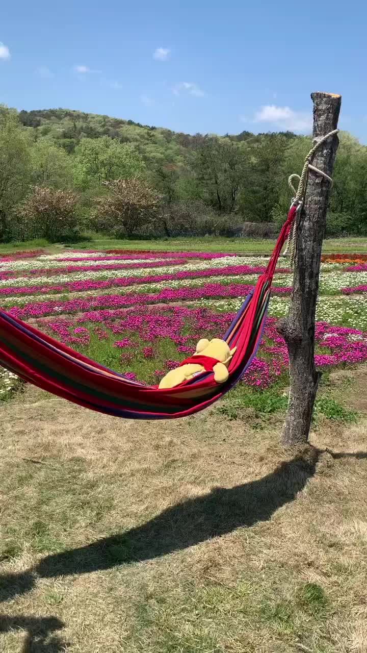 @愛傑夏
