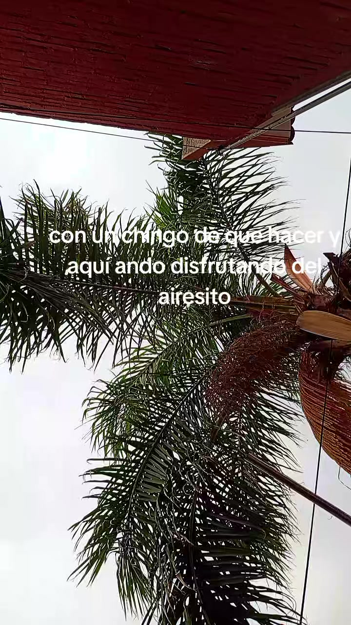 @Irais Luna 🩷