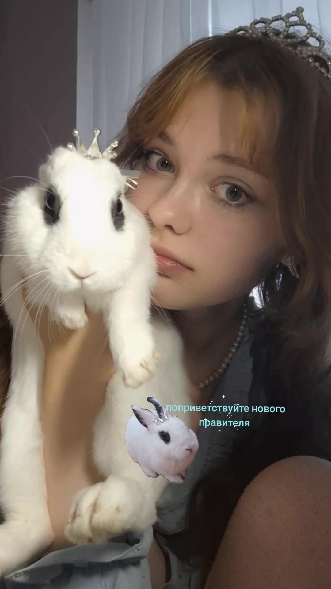 @foslivarrrr ๋࣭ ⭑