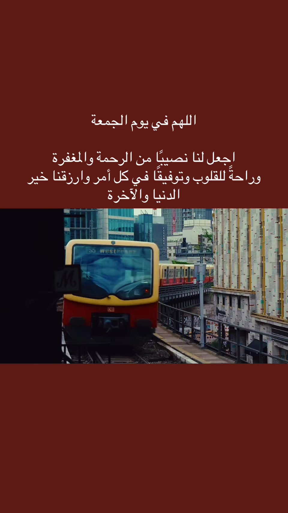 @المجتهد