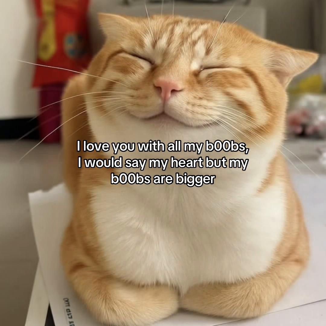 @Alice.cattok