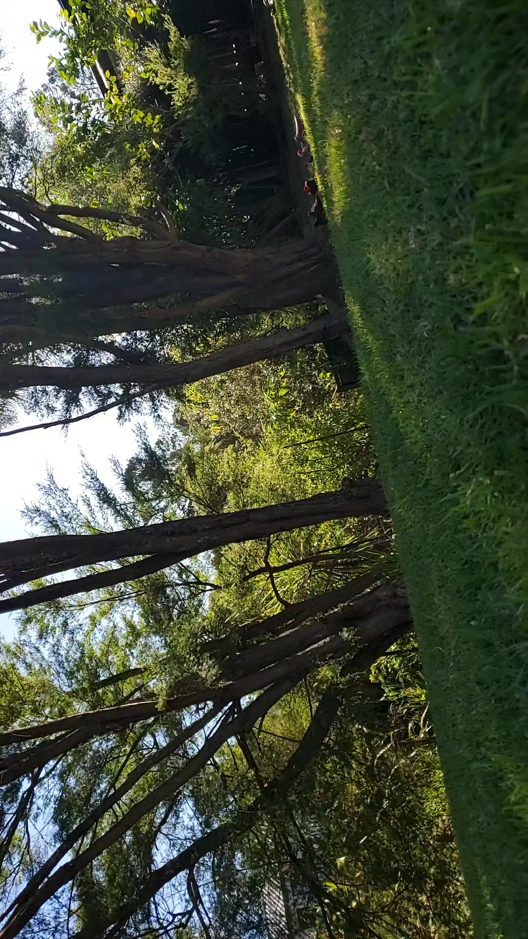 @Kevyboi