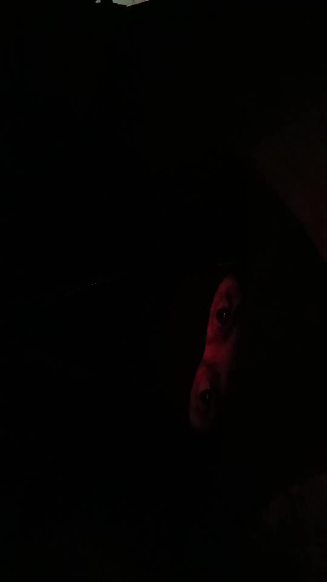 @†+✝+ 𝕳𝖊𝖑𝖑𝕳𝖔𝖚𝖓𝖉 +✝+†